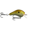 PH - Lil Hunter Squarebill