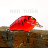 Old School Balsa Baits Squarebill 1 in Red Tiger