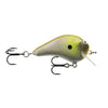 PH  -  Lil Hunter Squarebill