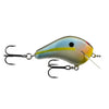 PH  -  Lil Hunter Squarebill