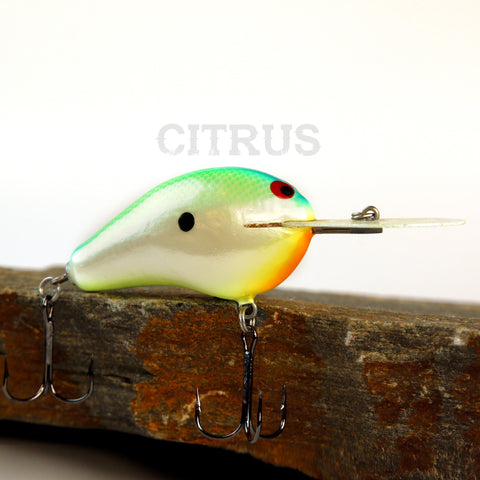 PH Custom Lures Ledge P 12 in Citrus