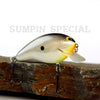 PH Custom Lures Mag Hunter in Sumpin Special